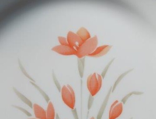 Item #18N – Corelle Peach Floral Dishes – $119