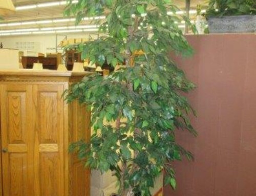 Item #268F – Faux Ficus Tree – $25